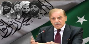 پاک افغان سیز فائر وزیراعظم شہباز شریف کابل پر پالیسی بیان دیتے ہوئے