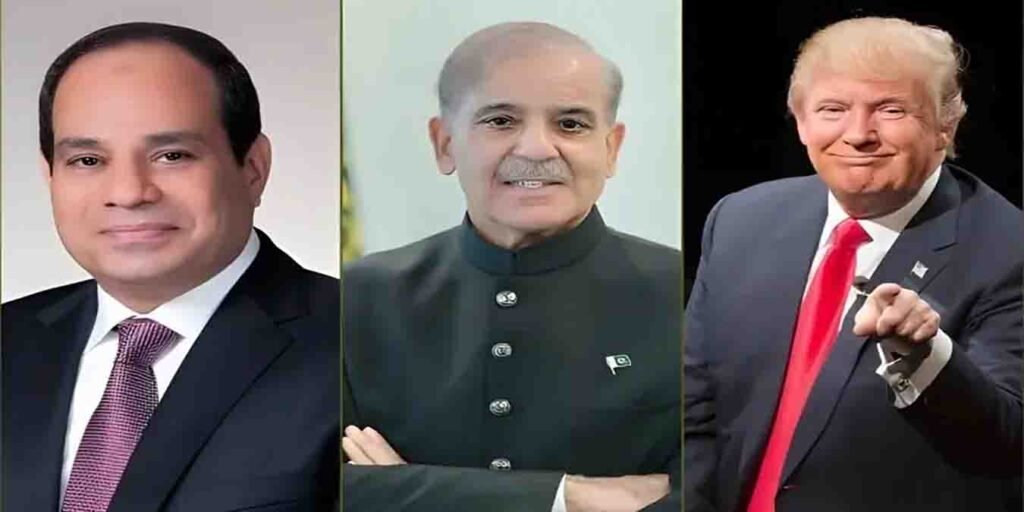 ٹرمپ، السیسی اور شہباز شریف