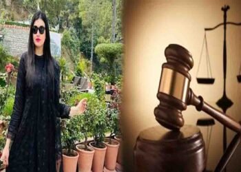 پی ٹی آئی ایکٹویسٹ فلک جاوید عدالت میں پیش، ریاست مخالف ٹویٹس کیس