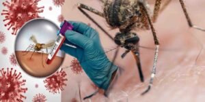 راولپنڈی میں ڈینگی کے کیسز میں اضافہ، ہیلتھ ٹیمیں لاروا چیک کرتی ہوئی