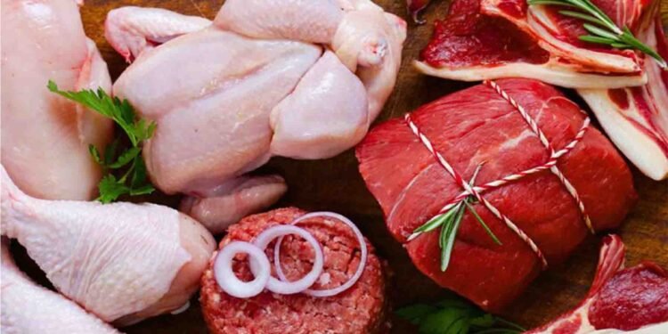 صرف گوشت پر مبنی خوراک کے فائدے اور نقصانات