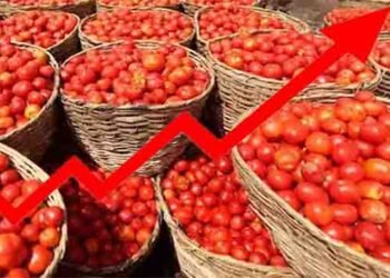 ٹماٹر مرغی کے گوشت سے مہنگا ہونے پر کراچی کے شہری پریشان