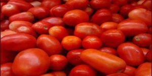 کوئٹہ میں ٹماٹر کی قیمتیں بڑھنے کی تازہ صورتحال