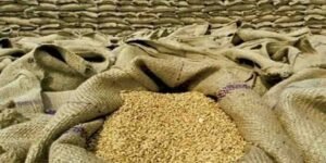 ملک میں گندم کا بحران اور بڑھتی ہوئی قیمتیں