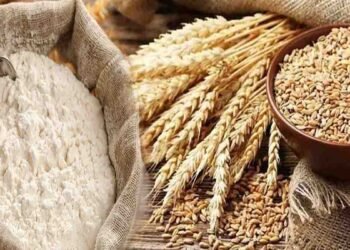 بہاولپور کی غلہ منڈی میں گندم کی قیمت 3850 روپے فی من تک پہنچ گئی