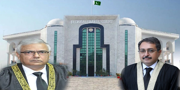 وفاقی آئینی عدالت کے قیام کے لیے حکومت کی جانب سے 7 ججوں کے نام فائنل