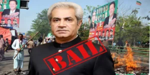 عمر سرفراز چیمہ کی 9 مئی جلاؤ گھیراؤ کیس میں ضمانت منظور