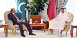 صدر زرداری کی امیر قطر سے دوحا میں ملاقات، دونوں رہنماؤں کے درمیان باہمی تعاون پر گفتگو