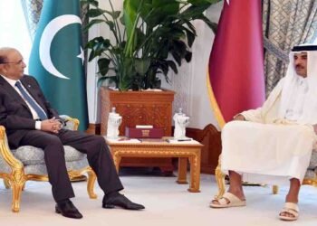 صدر زرداری کی امیر قطر سے دوحا میں ملاقات، دونوں رہنماؤں کے درمیان باہمی تعاون پر گفتگو