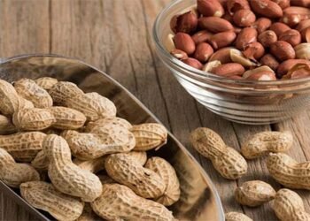 مونگ پھلی کے چھلکے کے فوائد دماغی اور جسمانی صحت کے لیے