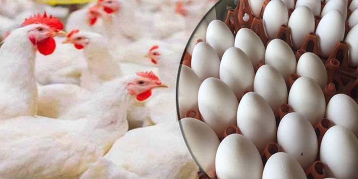 برائلر گوشت کی قیمت میں اضافہ اور عوامی ردعمل