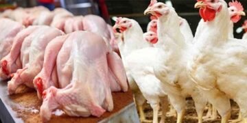 برائلر مرغی کے گوشت کی قیمت میں اضافہ کی خبر