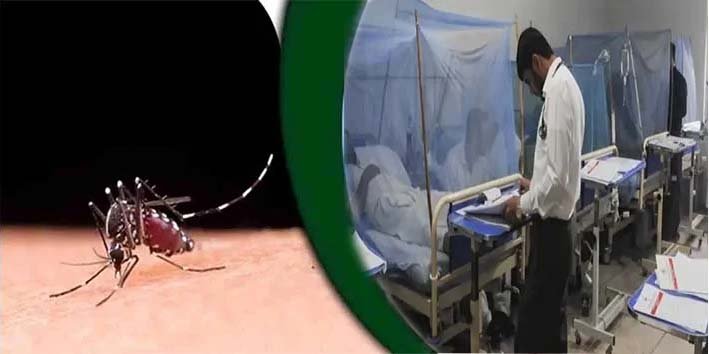 "راولپنڈی میں موسم سرما میں ڈینگی کی کمی کے باعث کم مچھر"