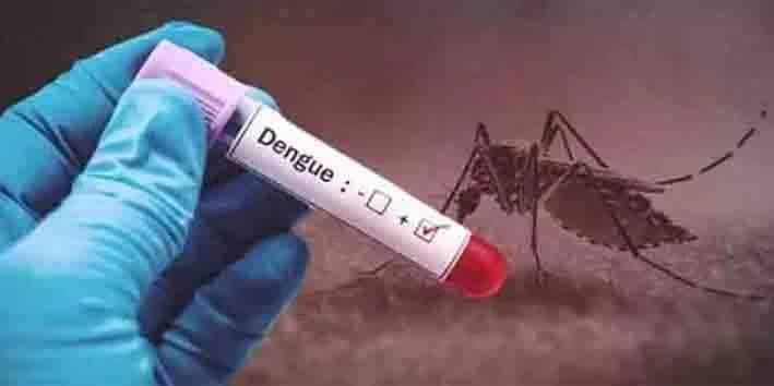 راولپنڈی میں ڈینگی کے کیسز میں اضافہ، محکمہ صحت کی ٹیمیں سرگرم