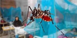 خیبرپختونخوا میں ڈینگی وبا شدت اختیار کر گئی، کیسز کی تعداد 4,836