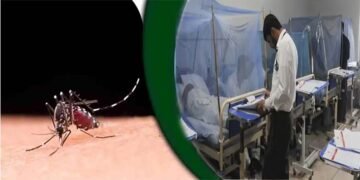 ڈینگی روزانہ متاثرین کی رپورٹ جاری — اسپتال میں زیر علاج مریض