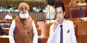 سینیٹر فیصل واوڈا اور مولانا فضل الرحمان کی ملاقات، 27ویں ترمیم پر مشاورت