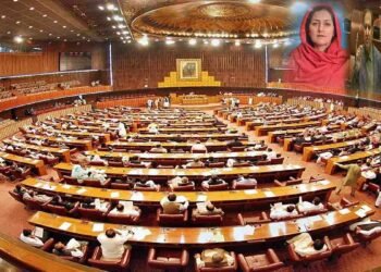 قائمہ کمیٹی داخلہ اجلاس میں سینیٹرز کے ساتھ سائبر فراڈ کا انکشاف