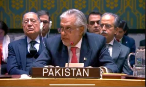 اسحٰق ڈار کا یورپی یونین کے وزارتی فورم سے خطاب