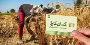 کسان کارڈ واجبات کی آخری تاریخ میں توسیع کے متعلق رہنمائی