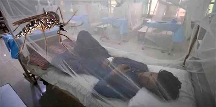 لاہور میں ڈینگی اموات کے بعد پریشان شہریوں کی نمائندہ تصویر