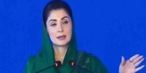 مسلم لیگ ن کا نام لیتے ہی ترقیاتی منصوبے اور موٹر ویز ذہن میں آتے ہیں۔