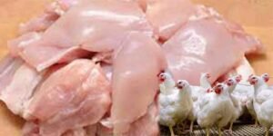 مرغی کے گوشت کی قیمتوں میں اضافہ کی تازہ خبر