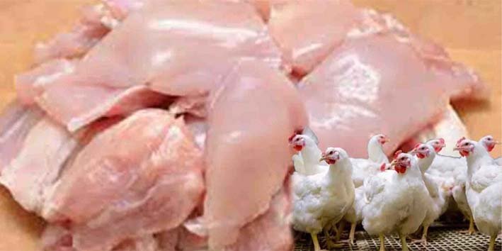 مرغی کے گوشت کی قیمتوں میں اضافہ کی تازہ خبر