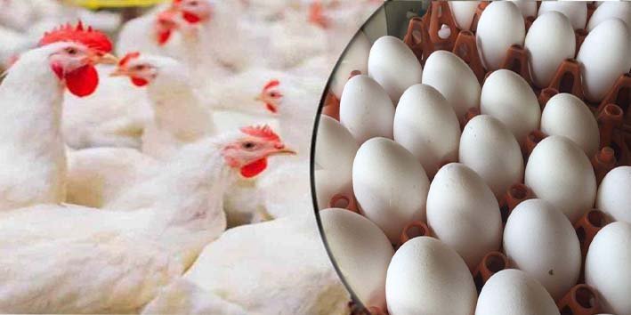 مرغی اور انڈے کی قیمتیں بڑھنے پر شہری پریشان