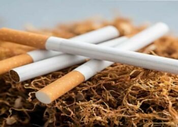 پاکستان میں تمباکو معاشی نقصان پر پائیڈ کی رپورٹ کا ڈیٹا پیش کرتے ماہرین