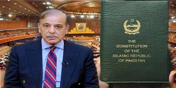 وزیراعظم شہباز شریف کا استثنیٰ کی مجوزہ ترمیم واپس لینے کا حکم