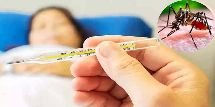 سندھ میں ڈینگی بخار کے مریض اسپتال میں داخل ہیں