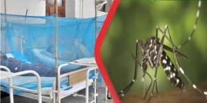 سندھ میں ڈینگی کی سنگین صورتحال کے باعث اسپتالوں میں مریضوں کا رش