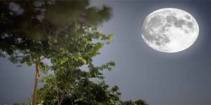 2025 کا آخری سپر مون روشن حالت میں آسمان پر دکھائی دے رہا ہے