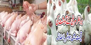 برائلر مرغی کی قیمت میں اضافہ