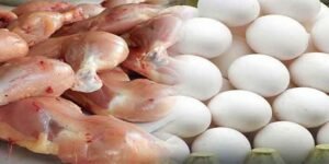 چکن اور انڈوں کی قیمت میں اضافہ کی تازہ صورتحال