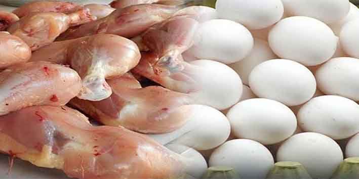 چکن اور انڈوں کی قیمت میں اضافہ کی تازہ صورتحال