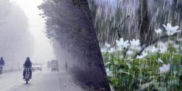 محکمہ موسمیات نے بارش کی پیشگوئی کر دی کی تازہ موسمی رپورٹ
