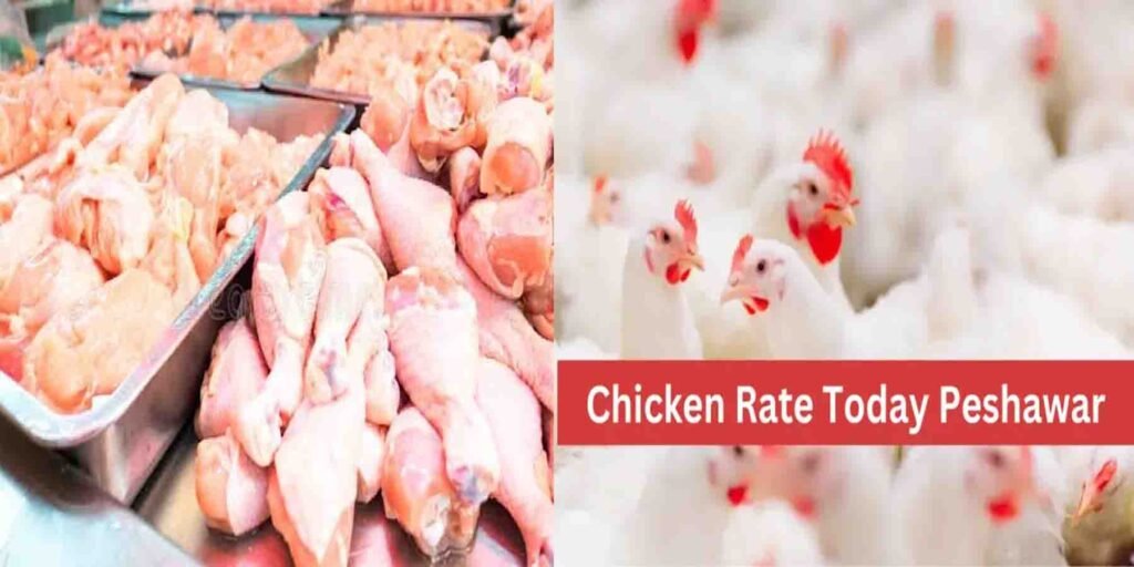 پشاور میں زندہ مرغی کی قیمت میں کمی