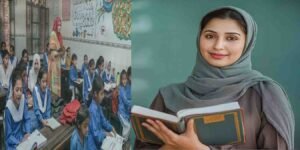 پنجاب حکومت کے حکام ایک اجلاس کے دوران اساتذہ کے لیے کارکردگی الاؤنس کا اعلان کر رہے ہیں۔