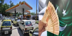 شیل کمپنی پاکستان سرمایہ کاری کا منصوبہ