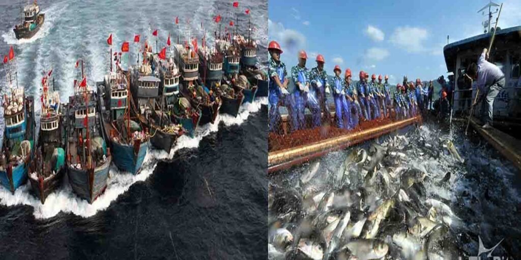 چین میں دریائے یانگسی کی آبی حیات کی بحالی، 10 سالہ ماہی گیری پابندی کے نتائج