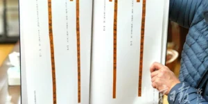 چین میں بانس کی تختیوں پر لکھی گئی گھوڑوں پر دنیا کی قدیم ترین تحاریر