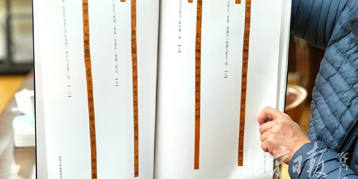 چین میں گھوڑوں پر دنیا کی قدیم ترین تحاریر دریافت