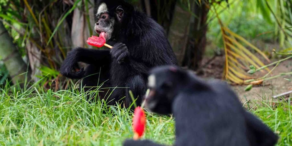 گرمی سے بچاؤ