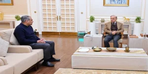 ٹی ٹوئنٹی ورلڈکپ میں پاکستان کی شرکت پر شہباز شریف سے محسن نقوی کی ملاقات