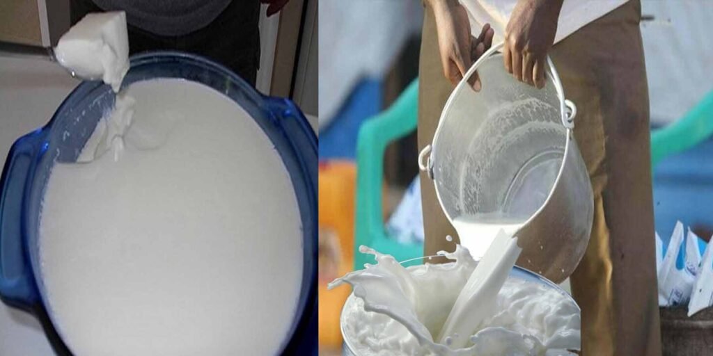 لاہور میں دودھ و دہی کی قیمتیں