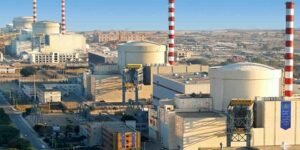 نیو کلیئر پاور پلانٹس کی کارکردگی