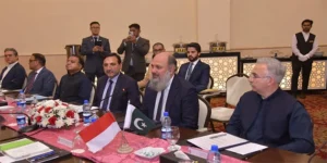 پاکستان اور انڈونیشیا کے درمیان تجارتی تعاون مضبوط، جوائنٹ ٹریڈ کمیٹی قائم