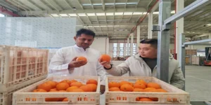 پاکستانی تاجر کی چین سے تازہ زرعی پیداوار مشرقِ وسطیٰ برآمد کرنے کی سرگرمیاں، تجارتی روابط مضبوط